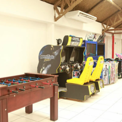 corujinha4