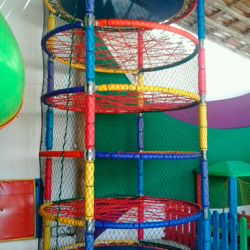 festeleco9